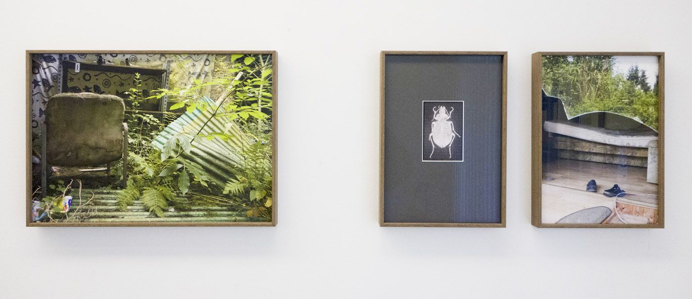 Foto „Ohne Titel“ von Sonja Karle in der Ausstellung WEG, Kulturwerkstatt Kircheib, 2022. Foto „Ohne Titel“ von Sonja Karle in der Ausstellung WEG, Kulturwerkstatt Kircheib, 2022.