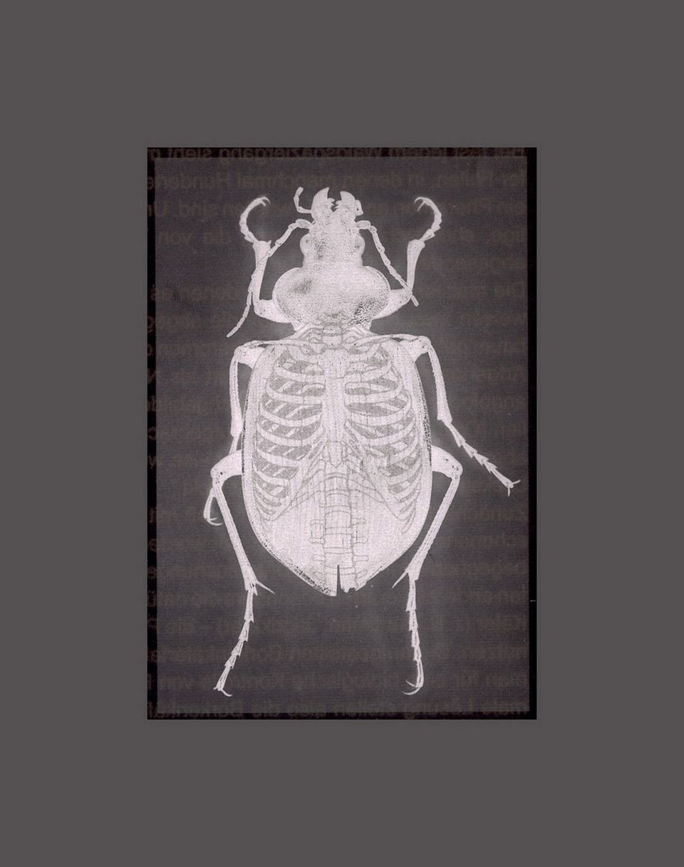 Digitalcollage “Ohne Titel“ von Sonja Karle in der Ausstellung WEG, Kulturwerkstatt Kircheib, 2022. Digitalcollage “Ohne Titel“ von Sonja Karle in der Ausstellung WEG, Kulturwerkstatt Kircheib, 2022.